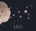 lion head, zodiac sign - leo with stars Royalty Free Stock Photo